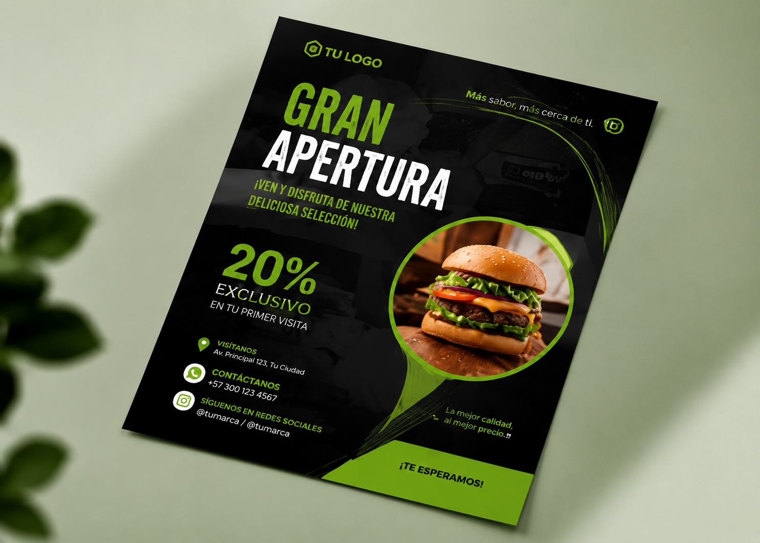Flyers Profesionales